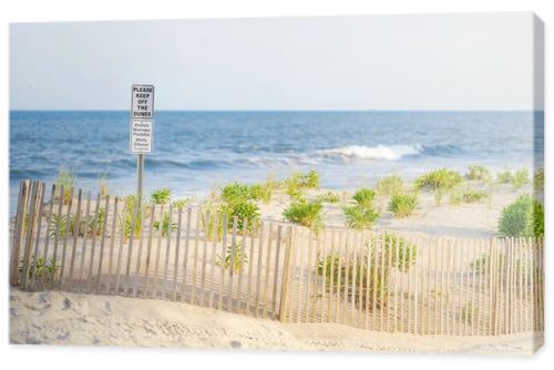 Protective fencing preserves coastal dunes, reduces erosion, and supports a fragile beach ecosystem.