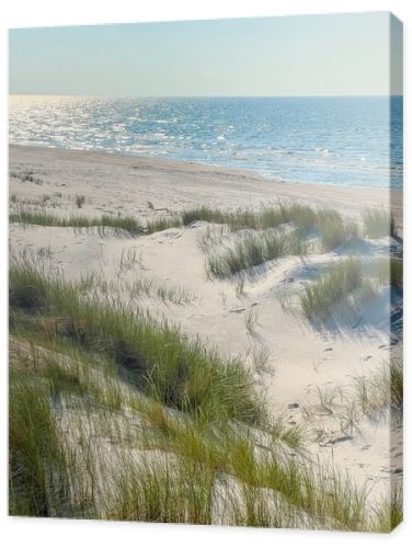 Panoramic view of sandy beach dunes with green vegetation meeting Baltic Sea horizon in Leba Poland summer landscape. High quality photograph