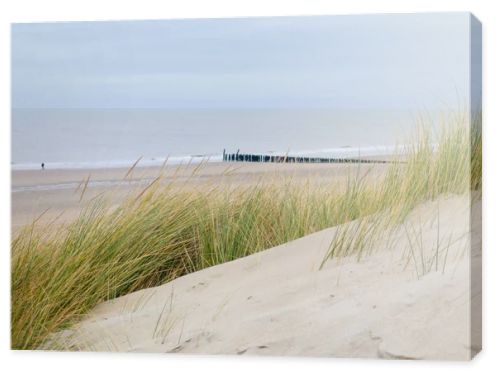 Gentle dunes line the peaceful coast of Zeeland in the Netherlands, where tall grass sways in the breeze. In the distance, wooden breakwaters stretch along the shore