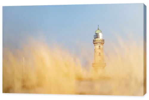 Lighthouse in Warnemuende, Germany behing the blurred marram grass, on sand dunes. High quality photo