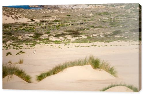 Open sandy coastal plain with low vegetation and Atlantic Ocean in the background near Guincho Cascais Portugal.