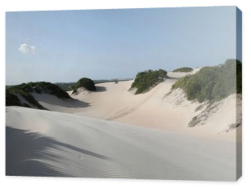 Expansive sand dunes with sparse green vegetation under a bright, clear blue sky, suggesting a coastal or desert landscape.