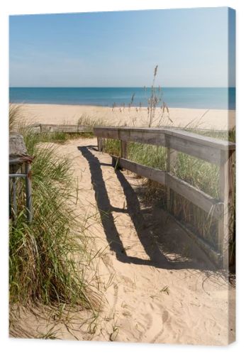 Wooden fence along a sandy beach path lined with dune grass and sea oats, highlighting coastal protection and natural ecosystem design