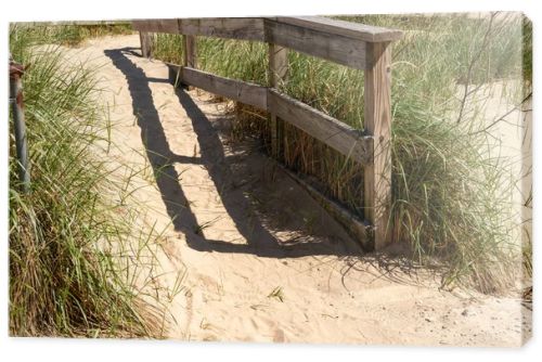 Weathered wooden fence along a sandy beach path surrounded by tall dune grass, highlighting coastal protection and natural landscape