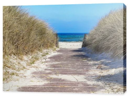 Photo of dunes and white sand beach at German shore of Baltic sea