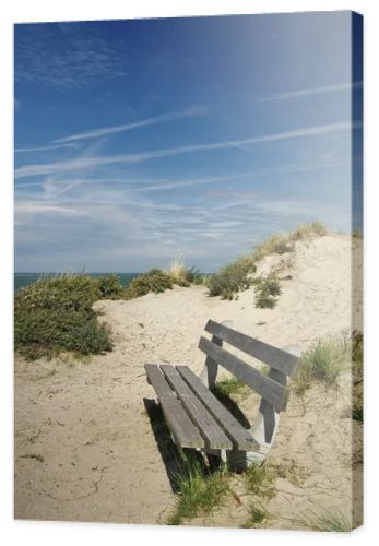 dune landscape at nieuw haamstede,schouwen duiveland,southern netherlands