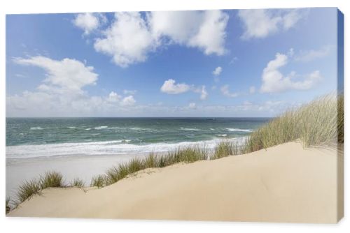 Sylt - View from sand Dunes to the North Sea nearby Kampen / Germany