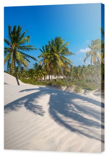 White sand dunes and coconut trees in Acarau, Ceara, Brazil on September 4, 2019
