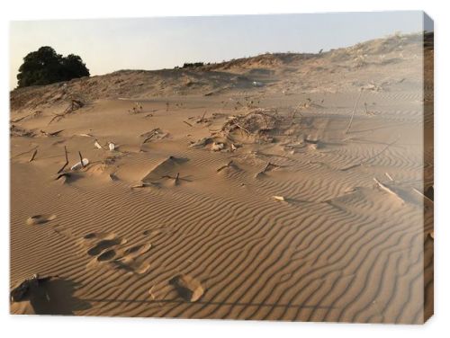 Garbage on sandy beach