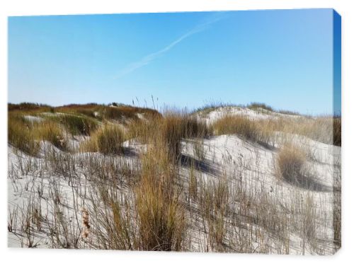 Photo of dunes and white sand beach at German shore of Baltic sea