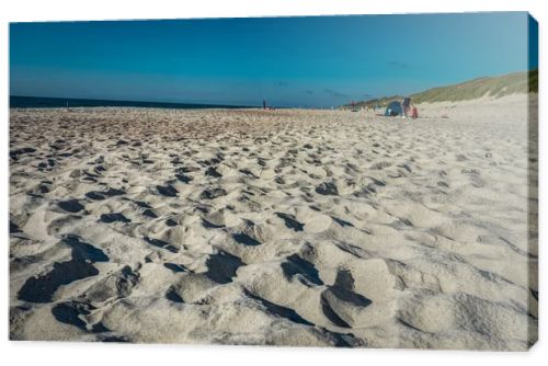 Coastal area in Lithuania Coastal scenery with sandy beach, dunes with marram grass and rough sea on a clear summer day with blue sky.