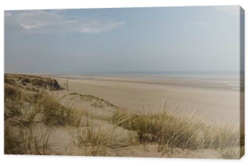 scenic shot of sandy seashore, Bray Dunes, France