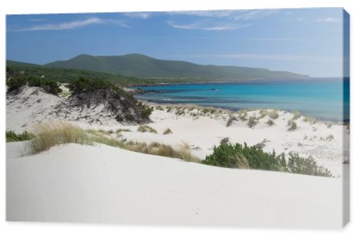 View of Arenas Biancas beach and his dunes