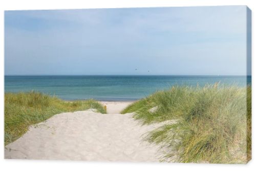 German Baltic Sea coast with sand dunes, grass, water and sky