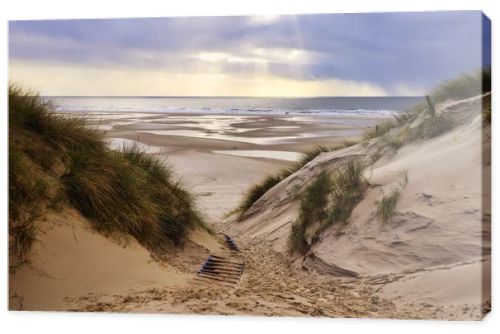 The sand dunes in Amrum, Germany in front of the beach