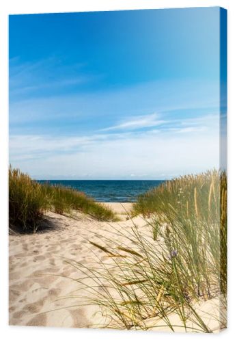 Calm beach with dunes and green grass. Ocean in the background, blue sunny sky