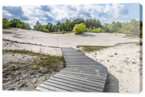 Wooden boardwalk leads over white coastal dunes in Latvia, framed by shrubs, pines and dramatic clouds.