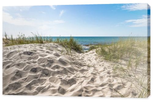 Baltic coast seascape featuring clean sand dunes, sea grass, and a calm horizon in bright natural light.