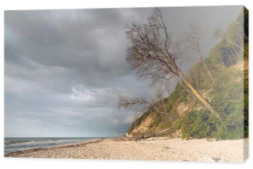 Natural landscape from the sea on a cloudy windy day.