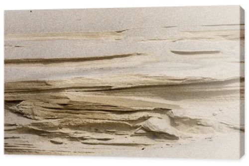 A closeup view of layered sand formations created by wind erosion on beach dunes. This natural abstract background highlights organic textures, geological patterns, and coastal beauty, perfect for design and fine art use.