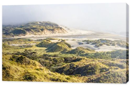 This breathtaking coastal landscape captures golden grassy sand dunes under bright sunlight, rolling toward a mist-covered beach. The scene blends textures of sand, grass, and ocean waves for a serene, natural beauty.