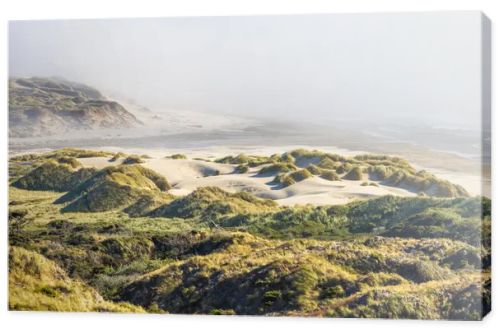 This breathtaking coastal landscape captures golden grassy sand dunes under bright sunlight, rolling toward a mist-covered beach. The scene blends textures of sand, grass, and ocean waves for a serene, natural beauty.