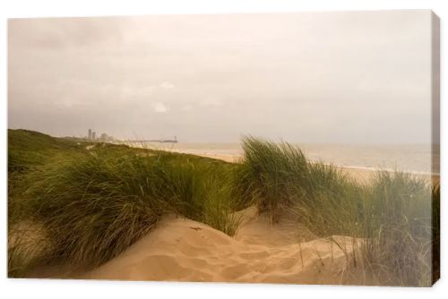 Dunes by the North Sea Coast