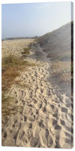 Sandy Atlantic Ocean Shoreline, Portugal