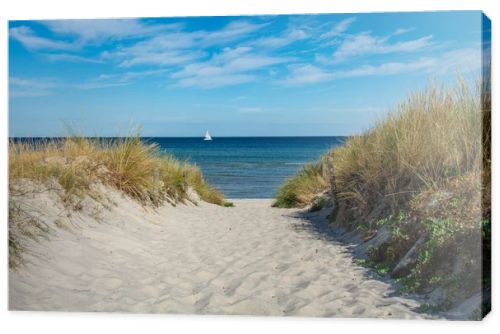 Path between the sand dunes overlooking the sea and a sailing ship and blue sky