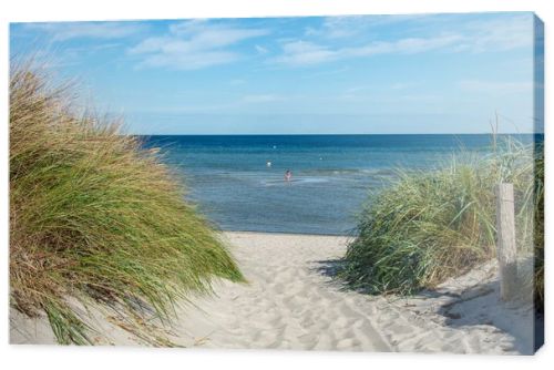 Path between the sand dunes overlooking the sea  with blue sky