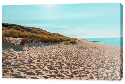 Sunny landscape on Sylt island with the beautiful beach and a blue sky, on a sunny day
