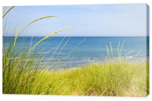 Sand dunes at beach