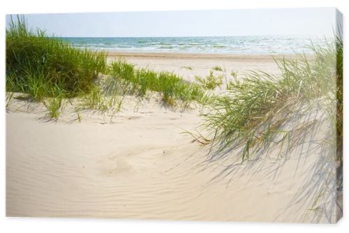 Sandy dunes on a beach of Jurmala.