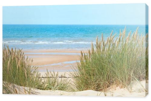 Sand beach in Formby, UK