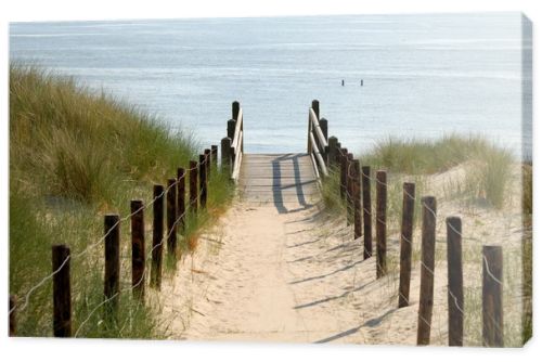 Path to the beach, Netherlands