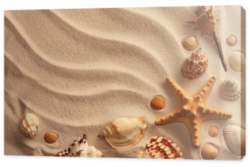 Sea shells with sand