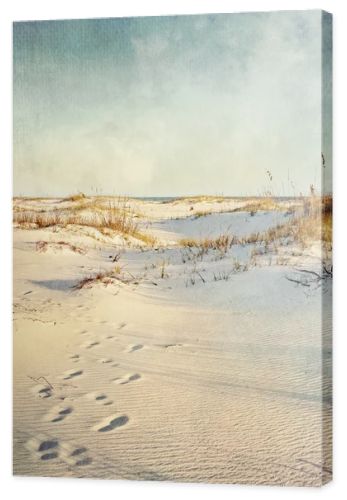 Sand Dunes at Sunset Textured Landscape