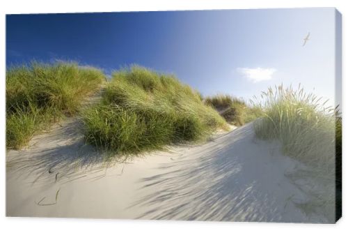 Sand dunes