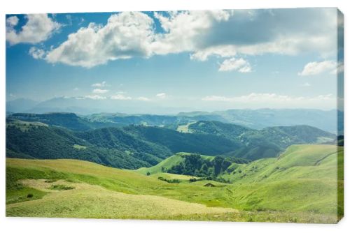 Summer mountains green grass and blue sky landscape