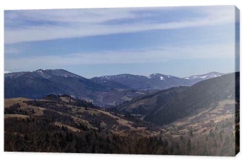 Scenic view of spruce trees on hills and mountains at background 