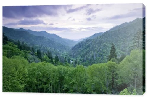 Smoky Mountains