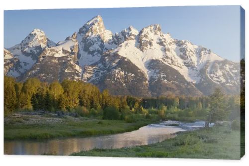 Grand Teton mountains with stream in morning light