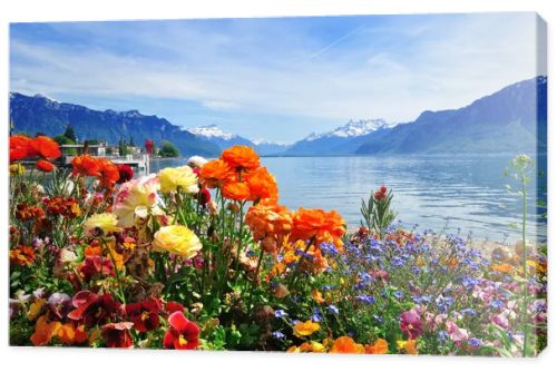 flowers, mountains ald lake