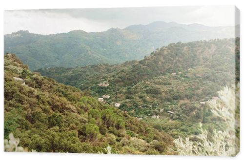 selective focus of trees in mountains against sky with clouds 