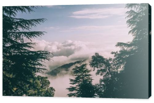 evergreen trees and beautiful mountains with clouds in Indian Himalayas 