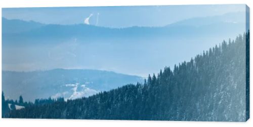 scenic view of snowy mountains with pine trees and white fluffy clouds, panoramic shot