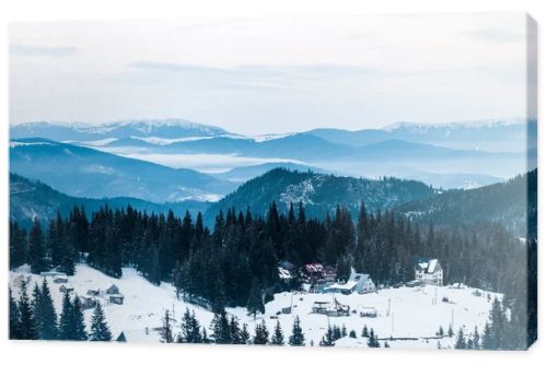 scenic view of snowy mountains with pine trees and small village