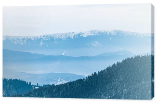 scenic view of snowy mountains with pine trees and white fluffy clouds