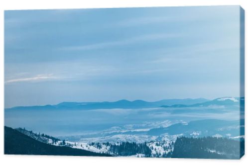 scenic view of snowy mountains with pine trees and cloudy sky