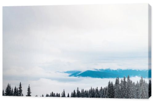 scenic view of snowy mountains with pine trees and white fluffy clouds